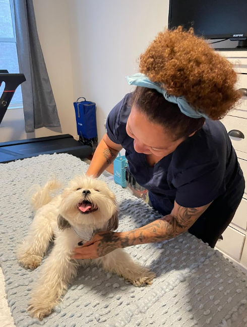 7Star Cleaning Service team member smiling and greeting a friendly white dog indoors